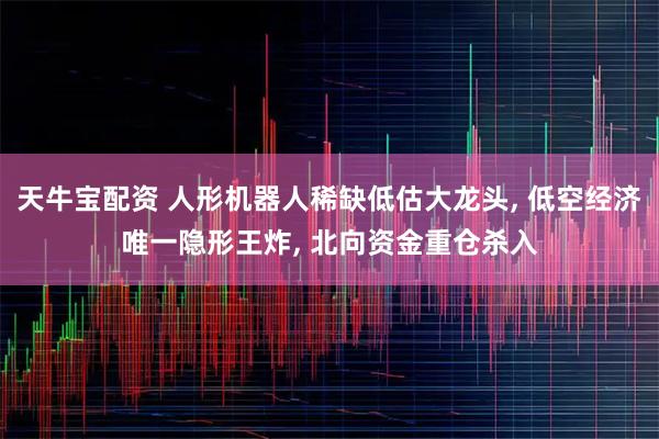 天牛宝配资 人形机器人稀缺低估大龙头, 低空经济唯一隐形王炸, 北向资金重仓杀入