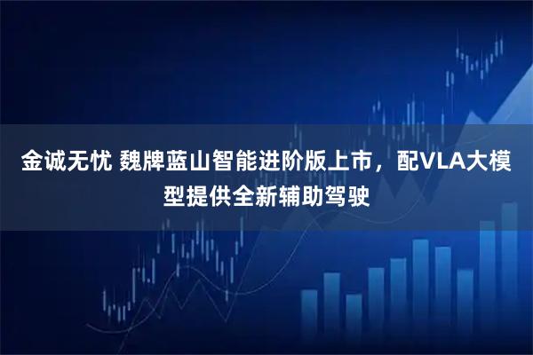 金诚无忧 魏牌蓝山智能进阶版上市，配VLA大模型提供全新辅助驾驶