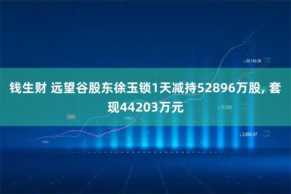 钱生财 远望谷股东徐玉锁1天减持52896万股, 套现44203万元