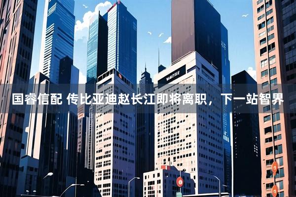 国睿信配 传比亚迪赵长江即将离职，下一站智界