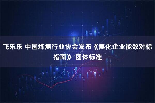 飞乐乐 中国炼焦行业协会发布《焦化企业能效对标指南》 团体标准