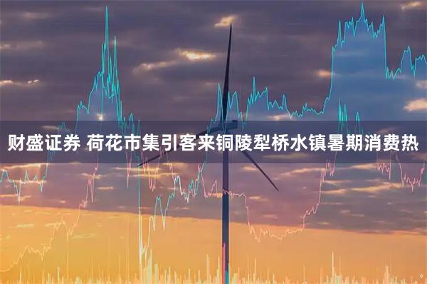 财盛证券 荷花市集引客来铜陵犁桥水镇暑期消费热